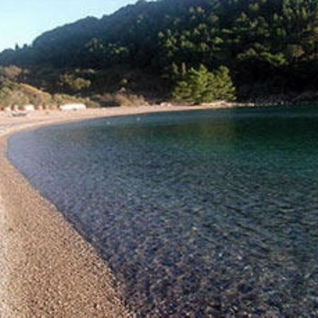 Apartments & Rooms M Petrovac na moru Exterior foto