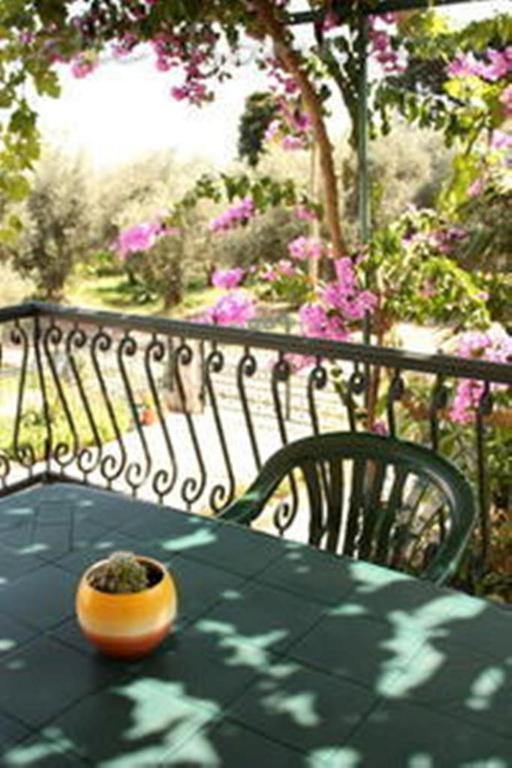 Apartments & Rooms M Petrovac na moru Exterior foto